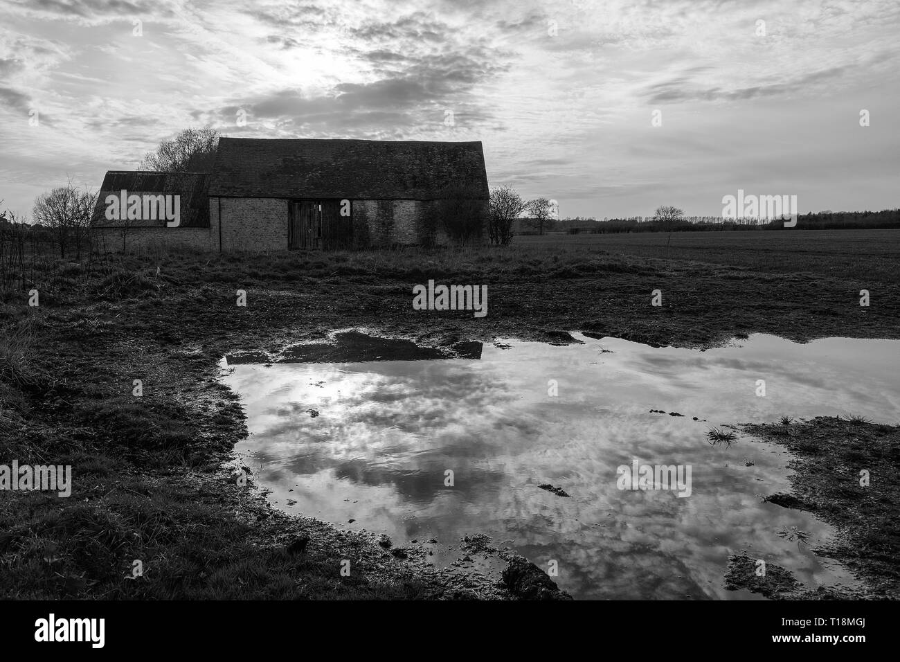 Une ancienne grange située dans la campagne de l'Oxfordshire, qui est maintenant désaffectée. Elle a sa propre beauté et offre un lieu pour les hiboux et les animaux sauvages pour vivre en paix Banque D'Images