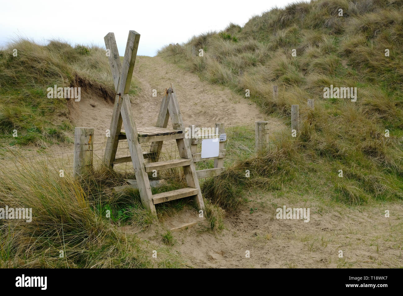 21 mars 2019 - Sauton, North Devon, UK - une échelle en bois dans le style Braunton Burrows, près de la plage de Saunton Banque D'Images