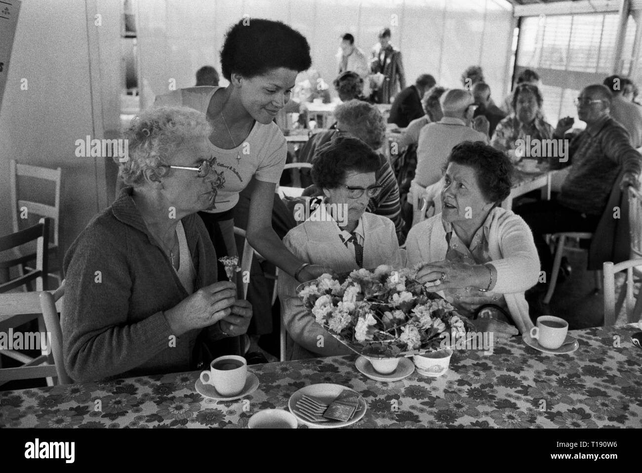 Île de Man des années 70, à l'horticulture Carnation plateau Peel Centre. 1978 HOMER SYKES Banque D'Images