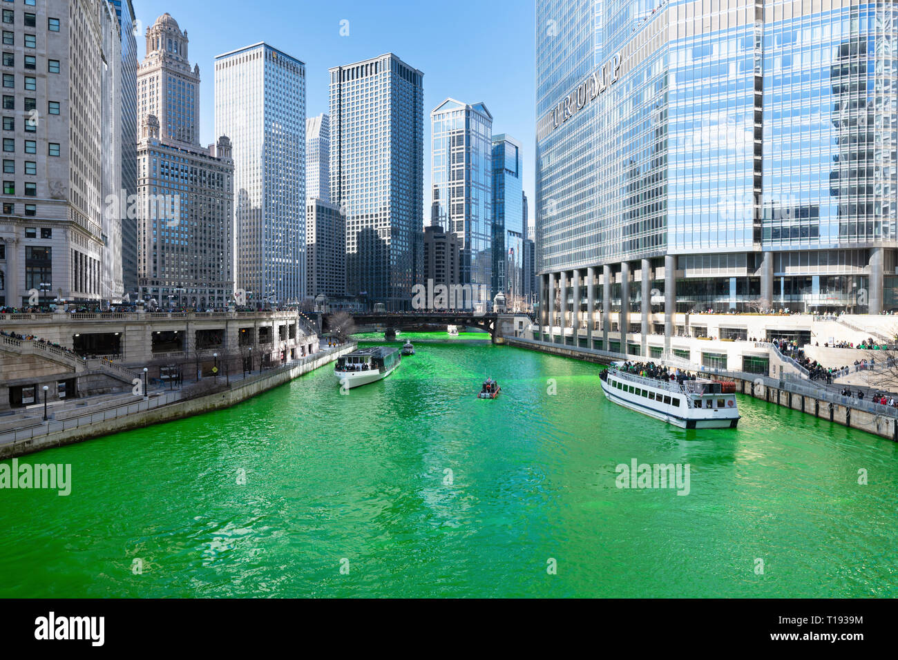 La teinture verte de la rivière de Chicago est une partie de l'Assemblée Saint Patrick's Day celebration et un spectacle visuel mémorable pour les habitants et les touristes. Banque D'Images