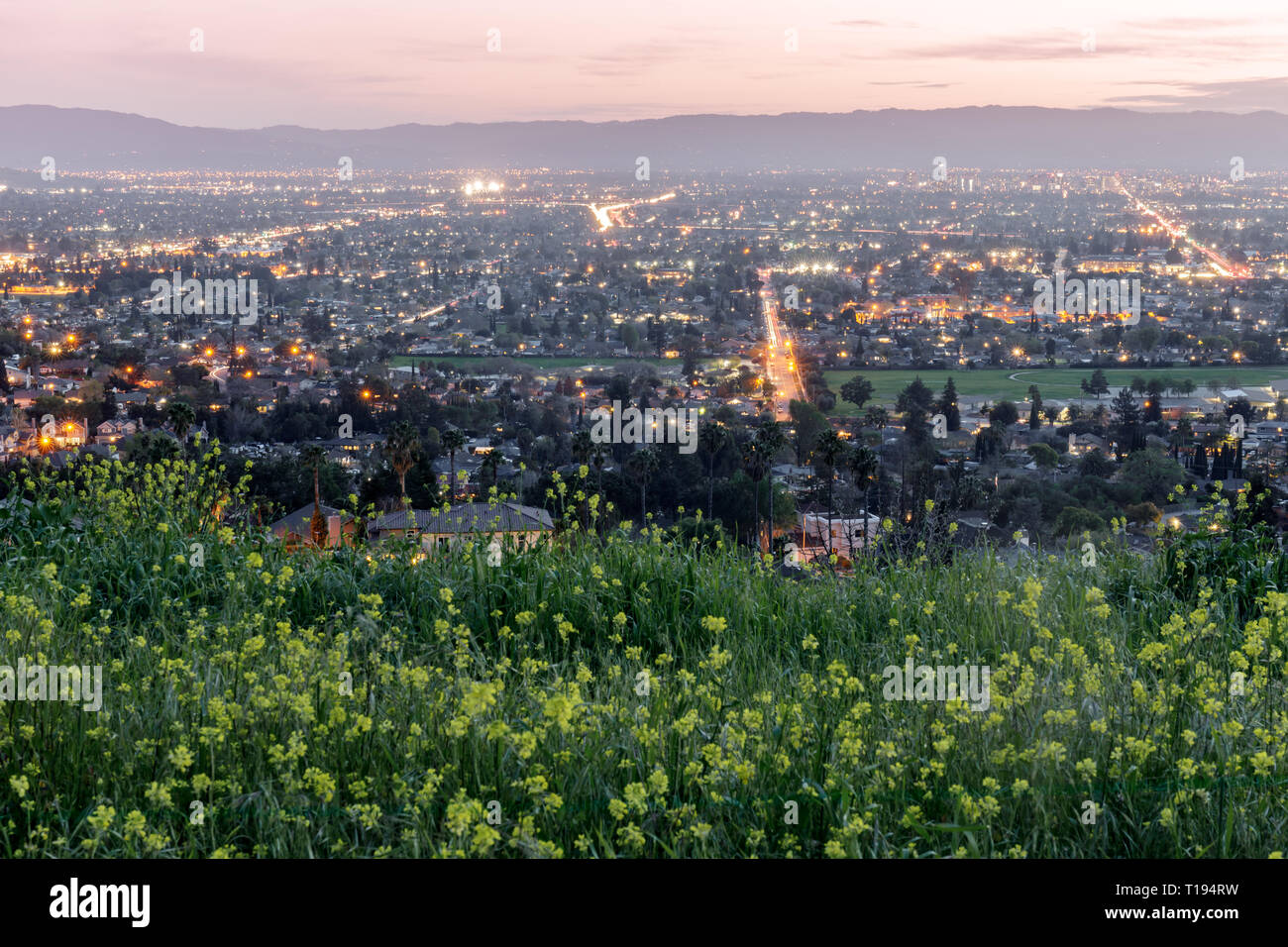 Haut au-dessus de la Silicon Valley avec couleur moutarde champ au printemps. Banque D'Images
