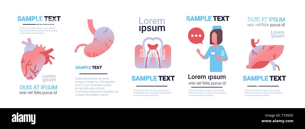 Définir les différents organes internes de l'infographie collection femme médecin de santé consultation concept fond blanc bannière horizontale plate copie Illustration de Vecteur