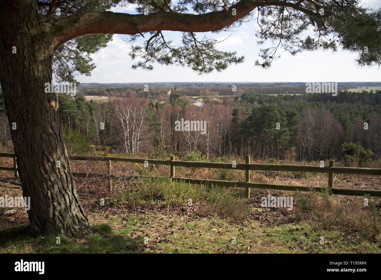 Vue sur la vallée d'Avon Avon Vue de Matchams Heath Country Park Framework Dorset Angleterre Banque D'Images