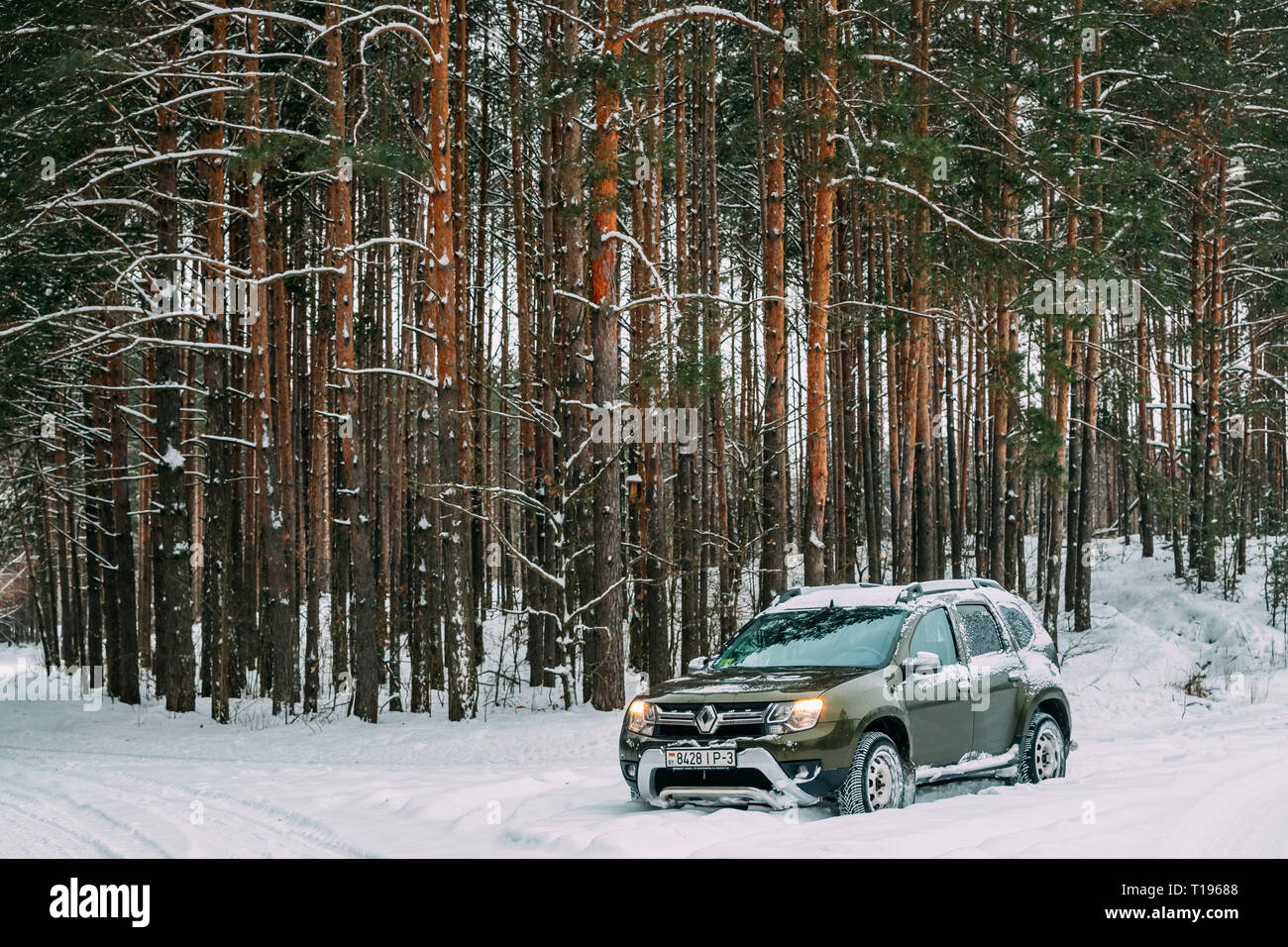 Gomel, Bélarus - 25 décembre 2018 : RENAULT Duster 4X4 stationné dans la forêt enneigée. Duster produit conjointement par constructeur français Renault et ses Romanian Banque D'Images