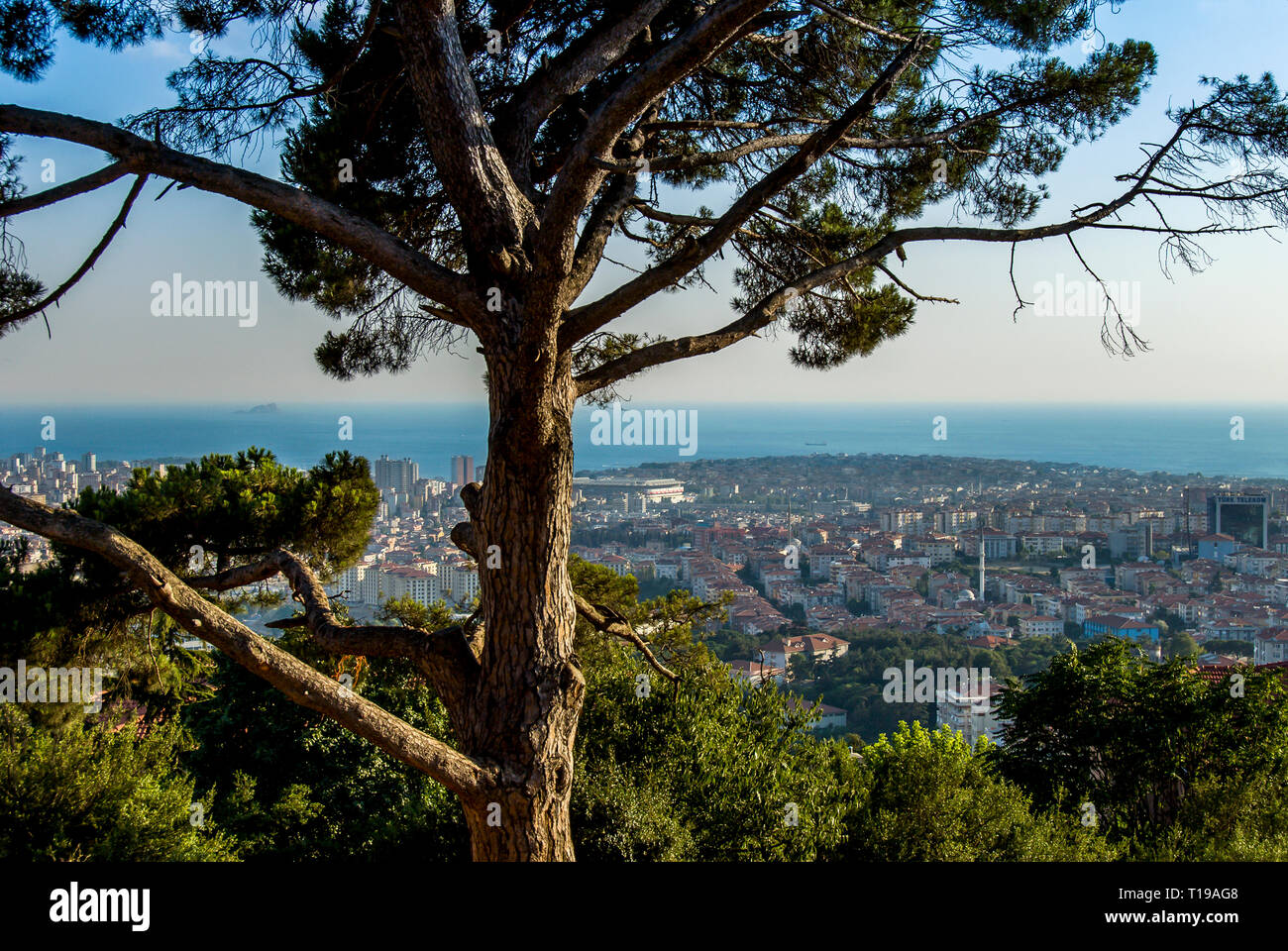 Istanbul, Turquie, 23 juillet 2006 : arborescence et afficher de Kadikoy Banque D'Images