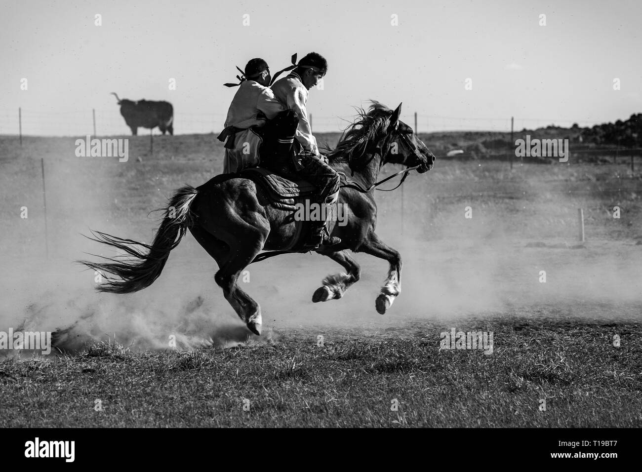 Cheval et deux coureurs à un festival d'Obo Nadam Gegentala cheval spectacle au parc au nord de Hohhot, en Mongolie intérieure, en Chine. Banque D'Images