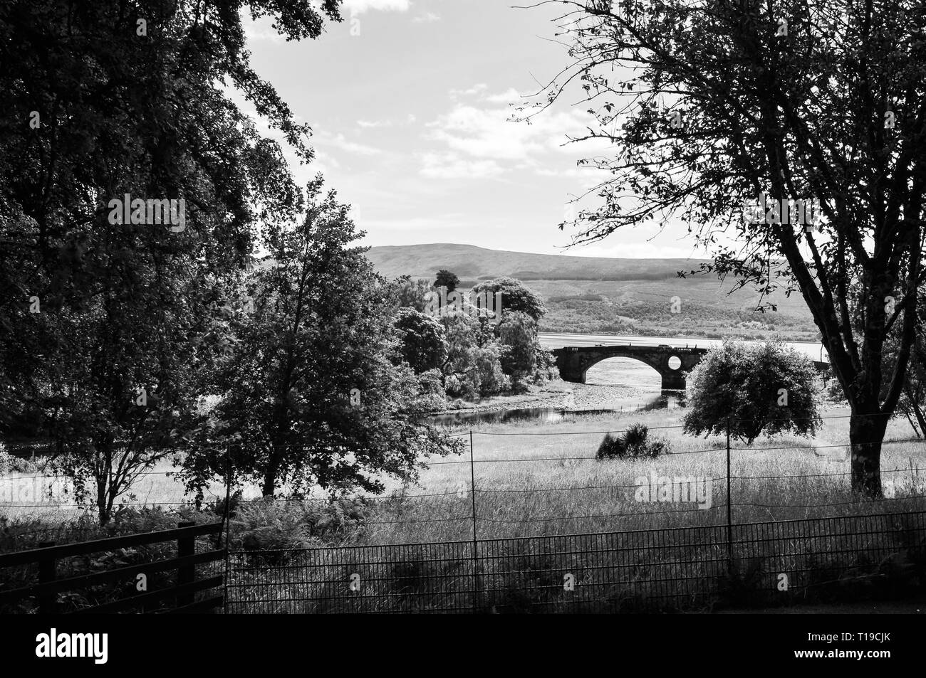 Le Loch Lomond, Ecosse Banque D'Images