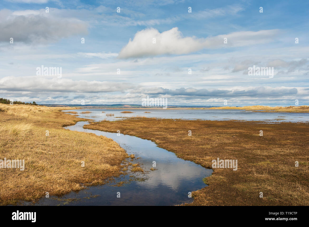 L'Powie graver à la réserve naturelle nationale de Tentsmuir, Fife, en Écosse. Banque D'Images