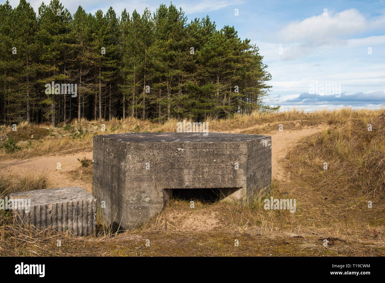 World War 2 tambourin Tentsmuir au National Nature Reserve, Fife, en Écosse. Banque D'Images