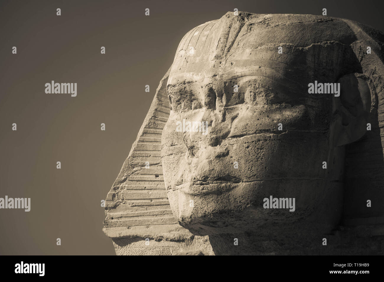 Le sphinx de l'grandes pyramides de Gizeh, Le Caire, Egypte Banque D'Images