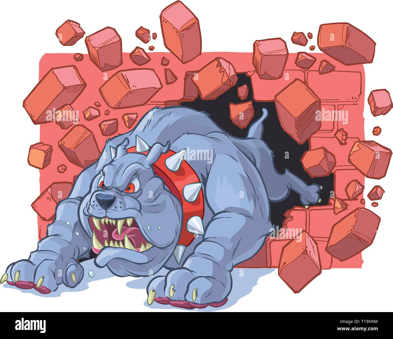 Vector cartoon clip art illustration d'un gros dur en colère bulldog mascot avec un collier à pointes l'éclatement d'un mur de briques. Illustration de Vecteur