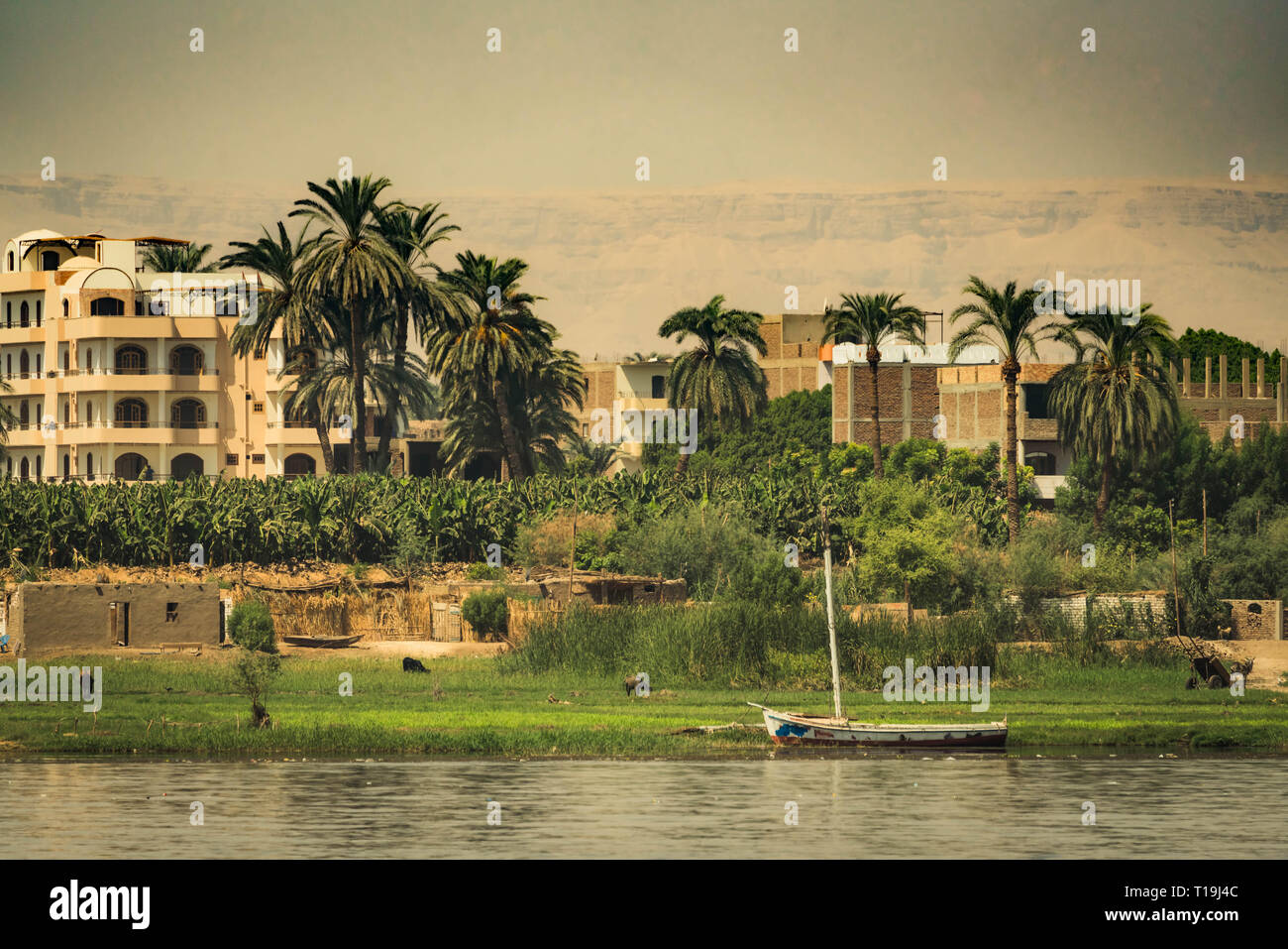 Rives de la rivière du Nil à Louxor, Egypte Banque D'Images