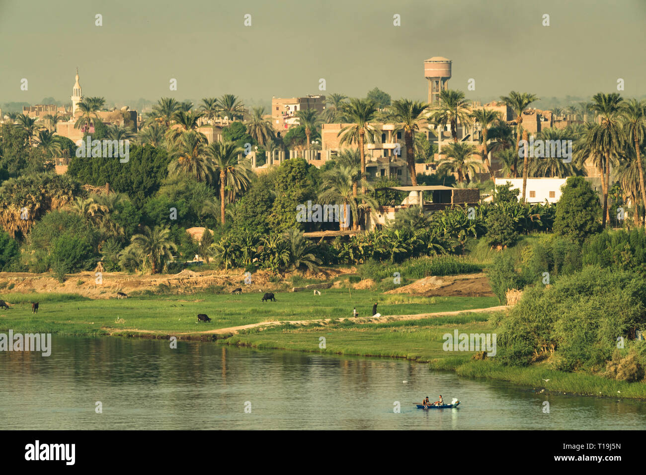 Rives de la rivière du Nil à Louxor, Egypte Banque D'Images