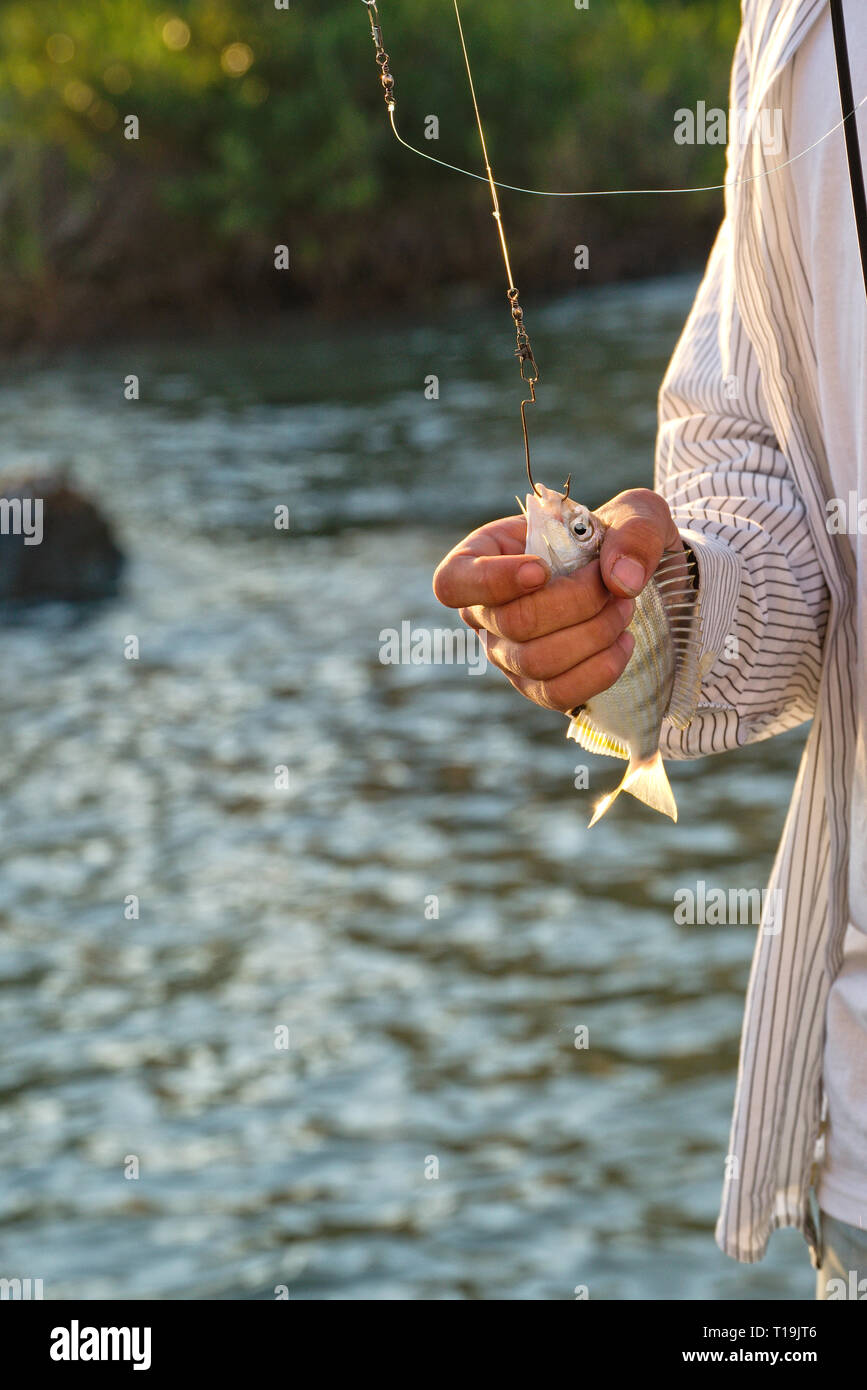 Pêche jeune homme Banque D'Images
