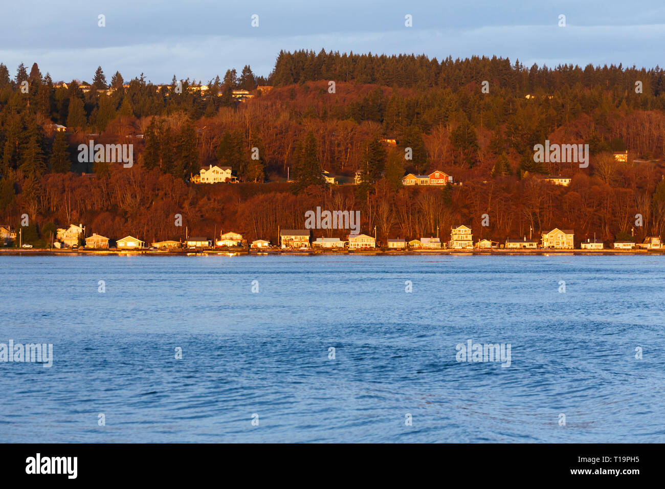 Maisons en bord de mer vers Puget Sound sur l'île de Whidbey, Washington, United States Banque D'Images
