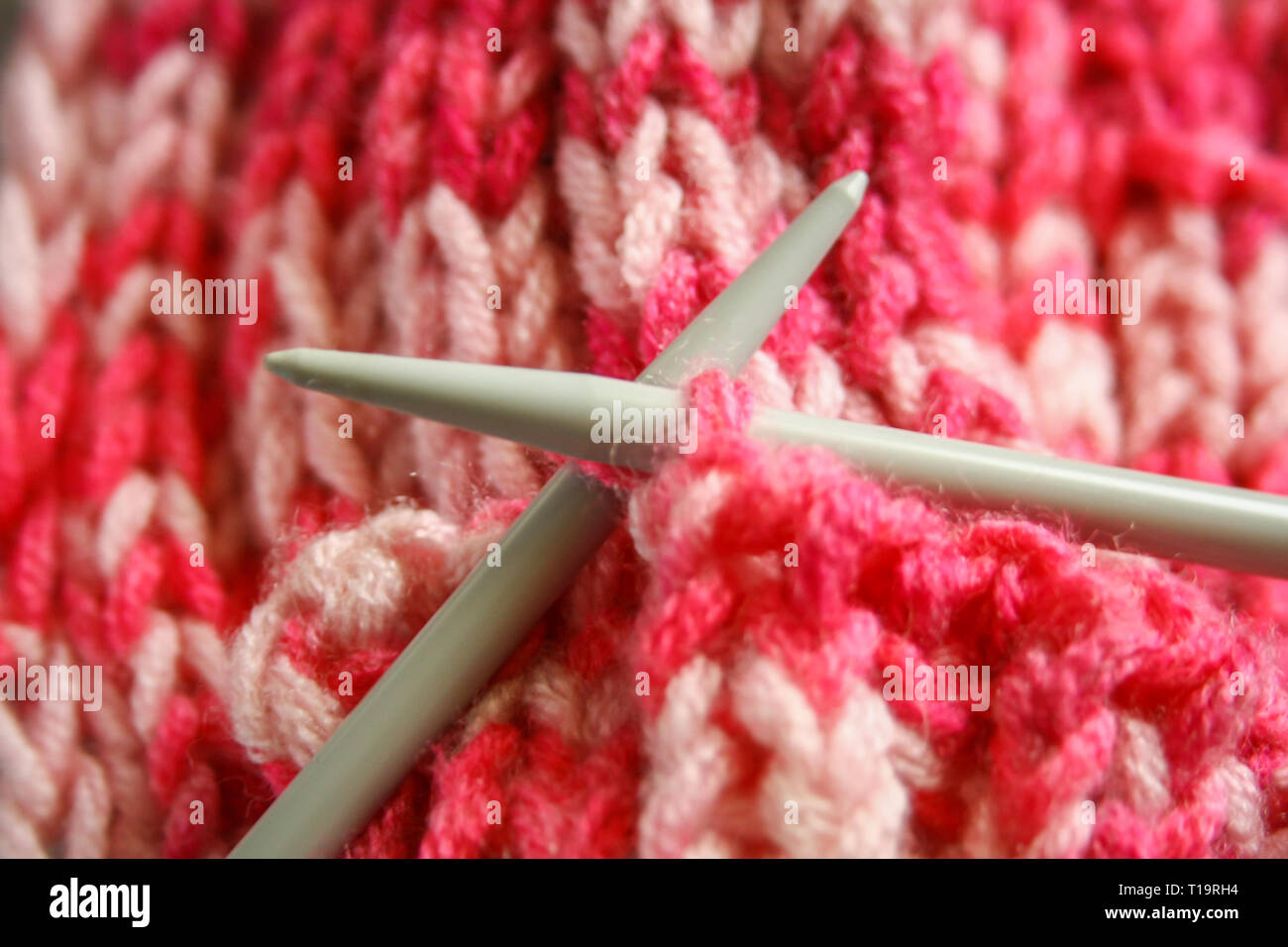 Une paire d'aiguilles à tricoter en plastique gris et rose fil de laine, écharpe en tricot. Banque D'Images