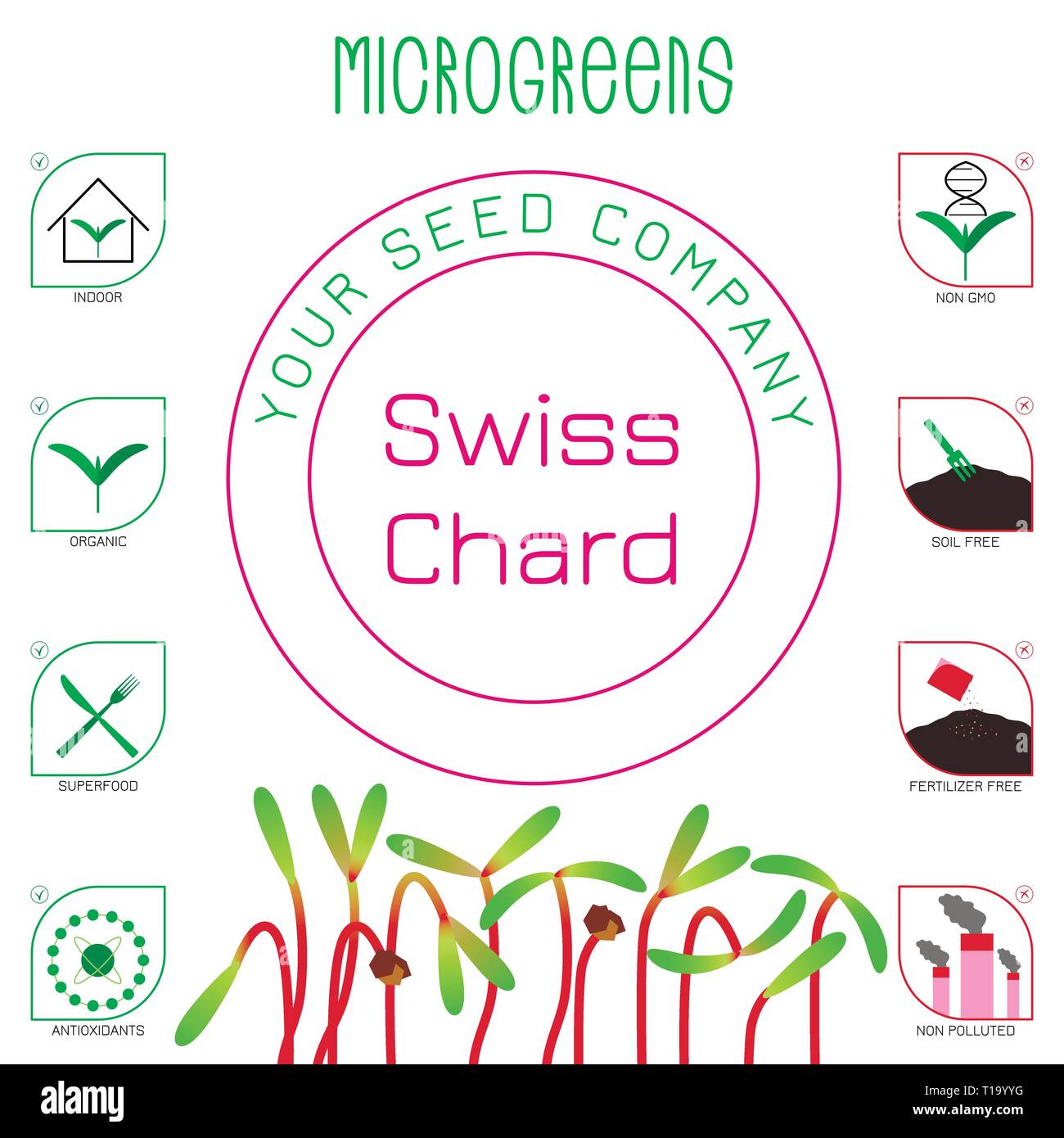 Microgreens de blettes. La conception des emballages de semences. Icônes - piscine, bio, superfood, antioxydants, non OGM, du sol, de l'engrais gratuit, non pollué Illustration de Vecteur