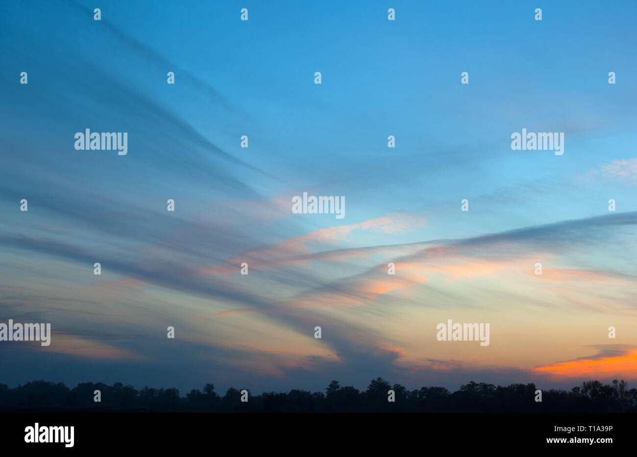 Panorama du ciel bleu avec des nuages roses au coucher du soleil Banque D'Images