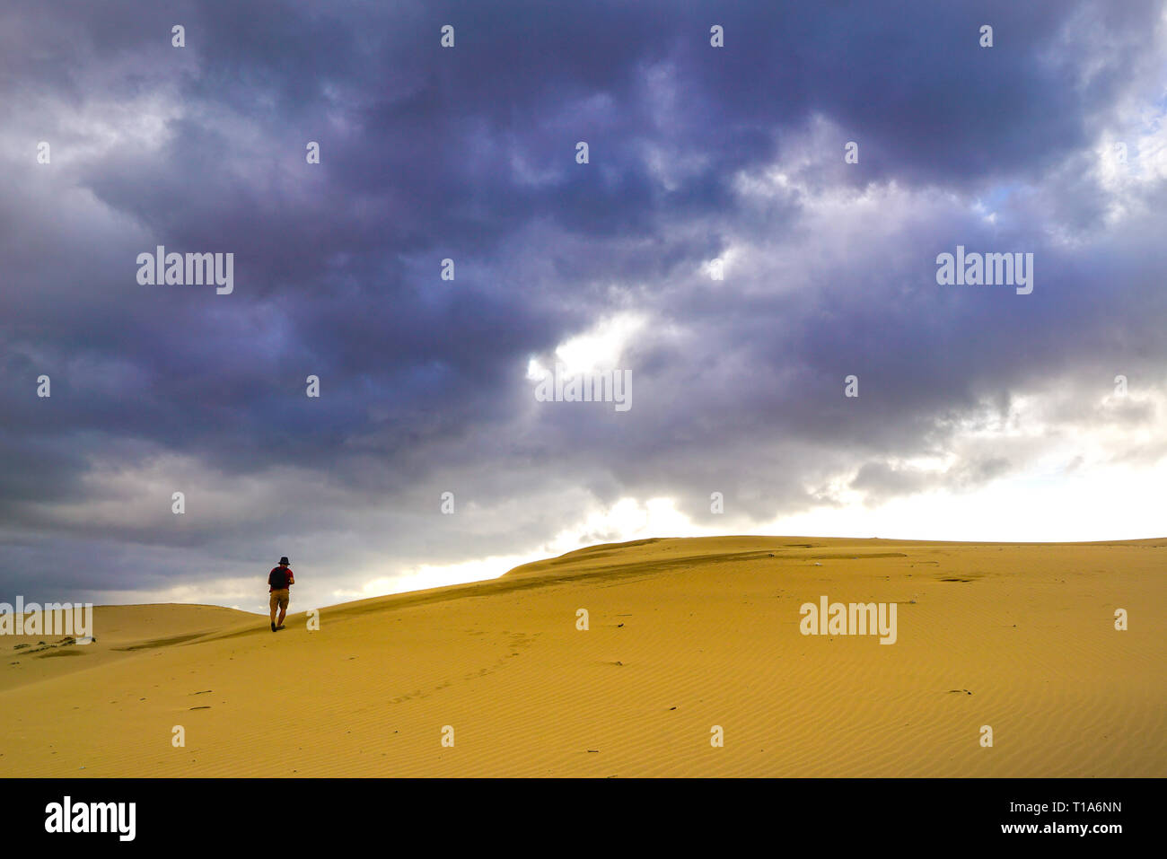 Explorer avec sac à dos et chapeau de randonnée un desert mountain Banque D'Images
