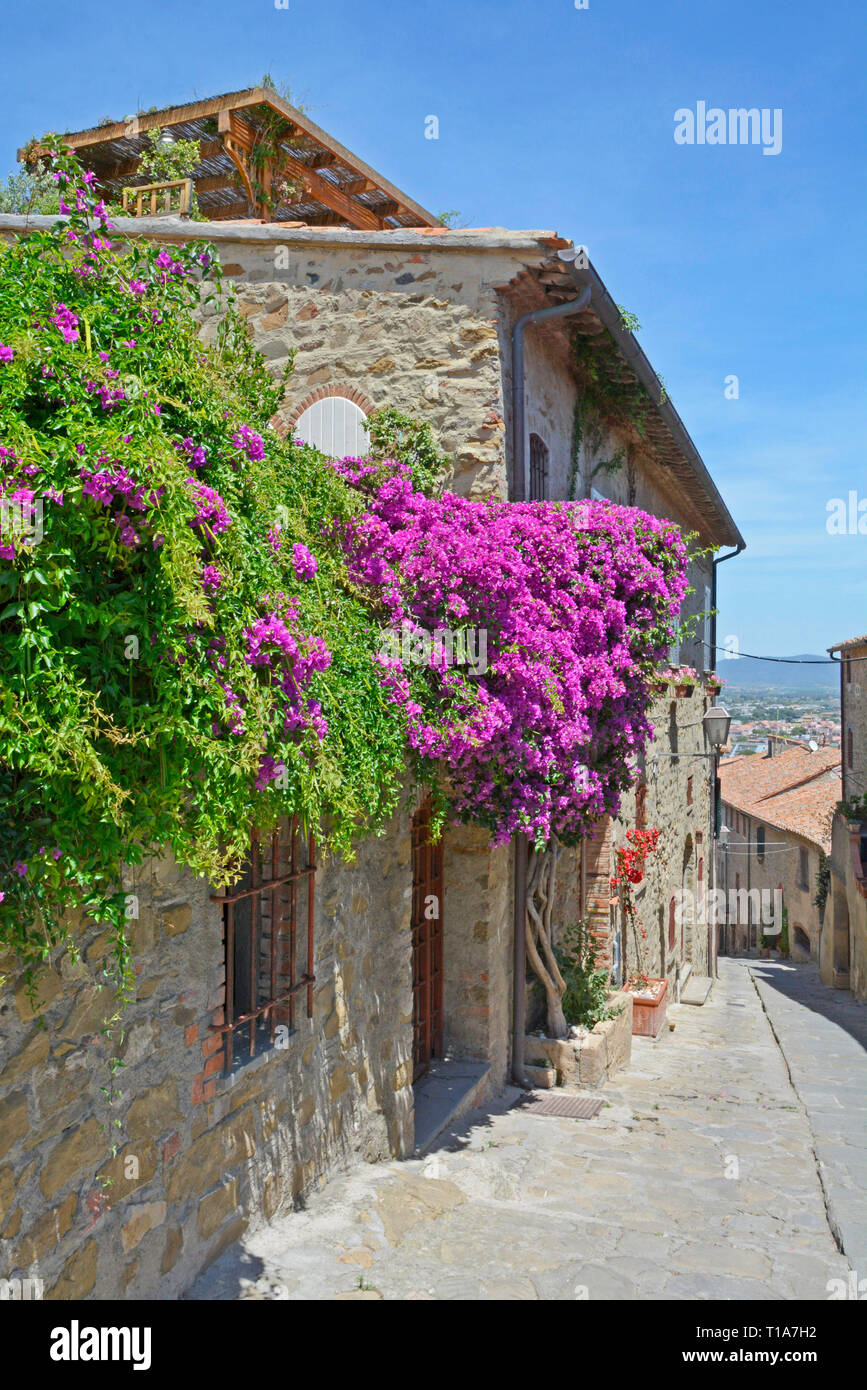 Castiglione della Pescaia, sur la côte de la Toscane, Italie Banque D'Images