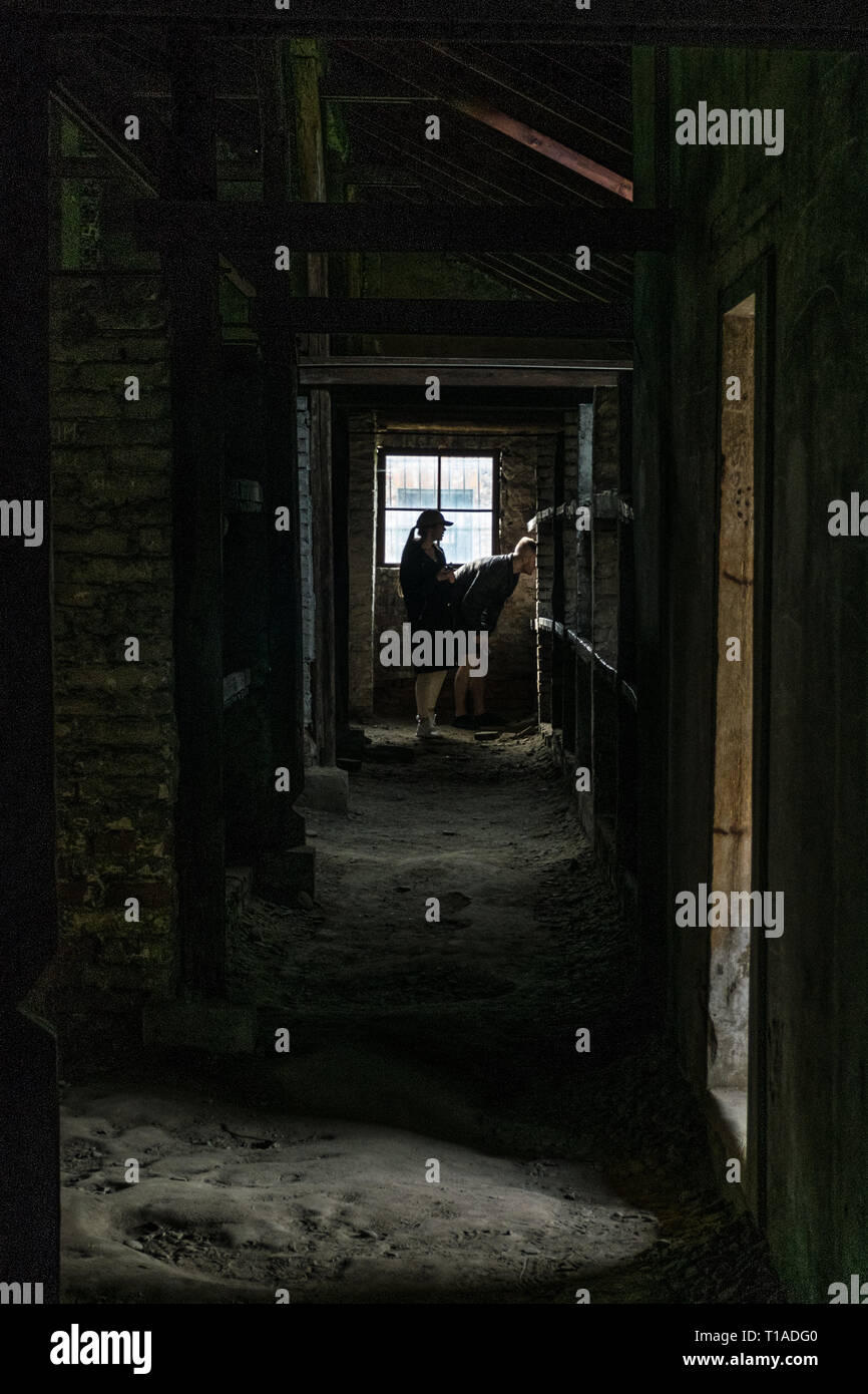 Oswiencim, Pologne - 21 septembre 2019 : les chambres à coucher avec lits superposés en bois montrant les détenus à des conditions de vie terribles Camps de concentration Banque D'Images