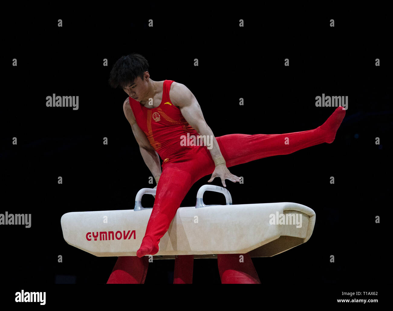 Sun Wei (Chine) en action lors de la Coupe du Monde de Gymnastique 2019 à Birmingham Arena de Genting. Banque D'Images