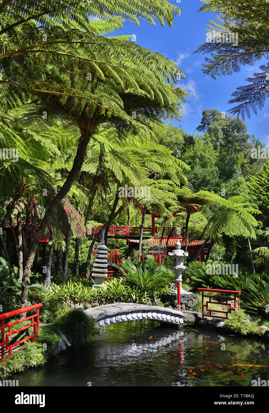 Jardin oriental au Jardim de Monte Palace Tropical (Madère, Portugal) Banque D'Images