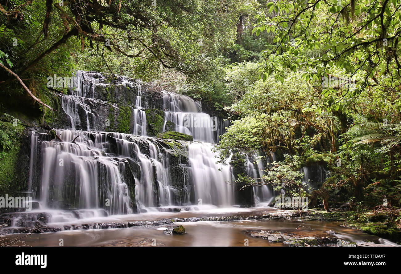 Vue panoramique de l'Purakaunui Falls (parc forestier de Catlins Nouvelle-zélande) Banque D'Images