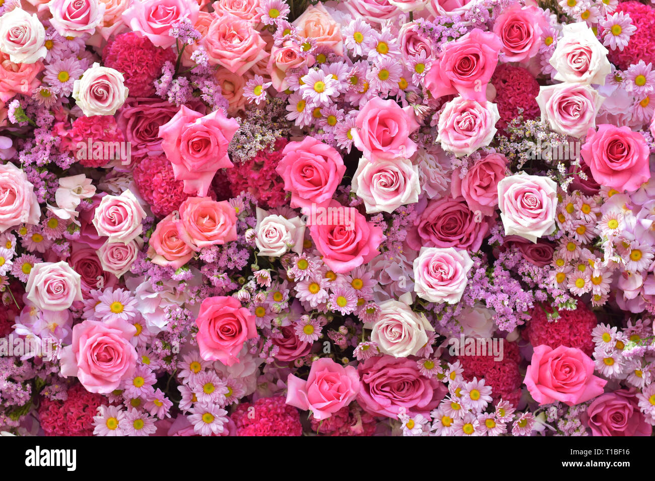Décorer de fleurs rose bouquet, comme de belles fleurs sur la texture marbre, fleuri, motif de fond, fleuri, texture background, fond de fleurs rose, pi Banque D'Images