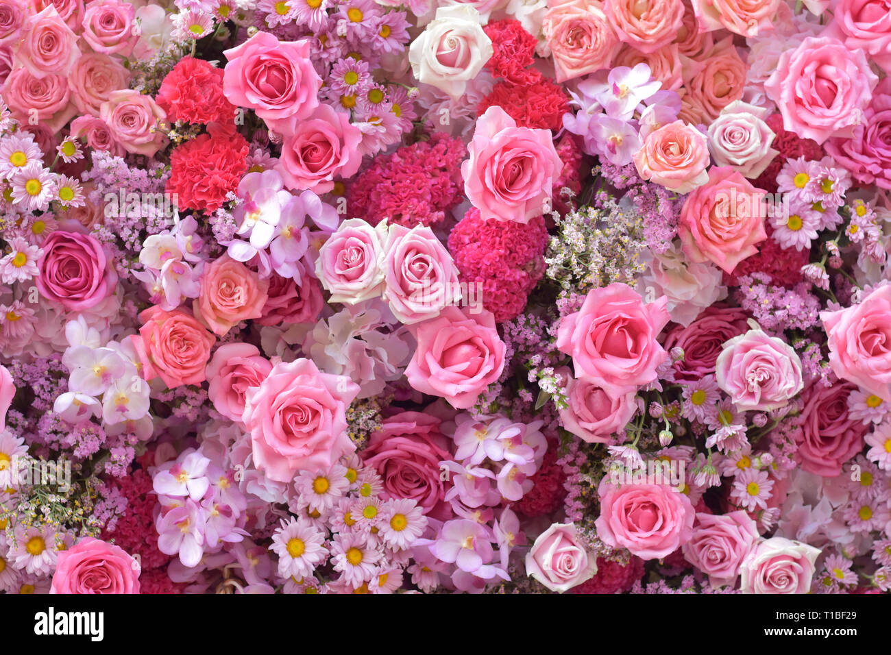 Décorer de fleurs rose bouquet, comme de belles fleurs sur la texture marbre, fleuri, motif de fond, fleuri, texture background, fond de fleurs rose, pi Banque D'Images