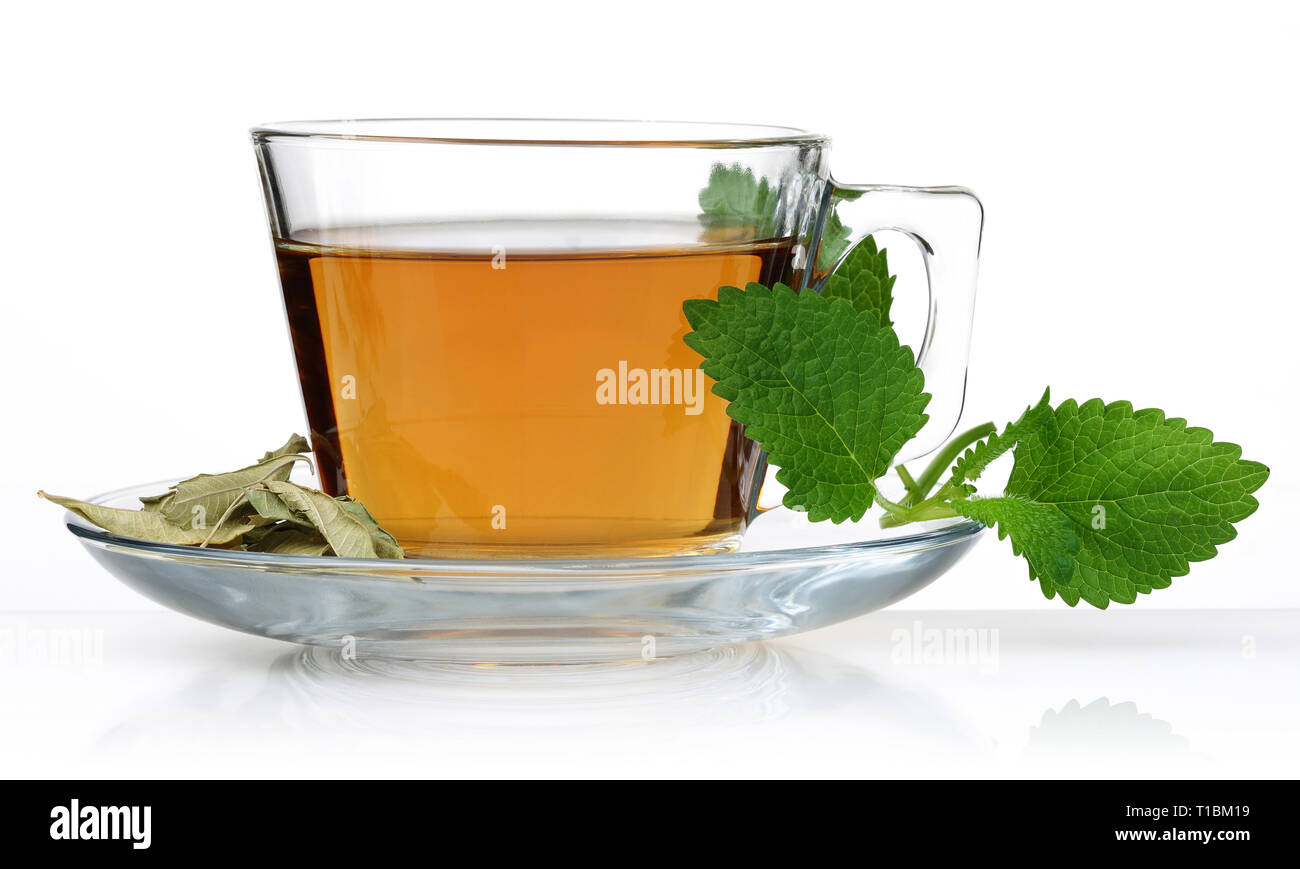 Melissa dans un verre de thé tasse avec feuilles de mélisse isolé sur fond blanc Banque D'Images