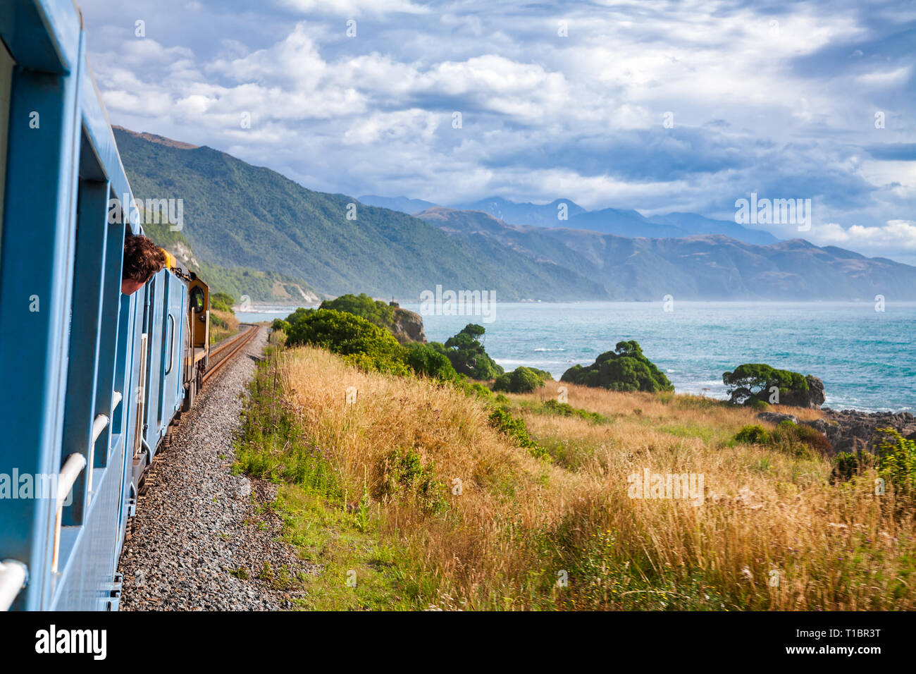 Trajet en train le long de la côte de l'océan Pacifique dans la région ont de Canterbury, île du sud de la Nouvelle-Zélande Banque D'Images