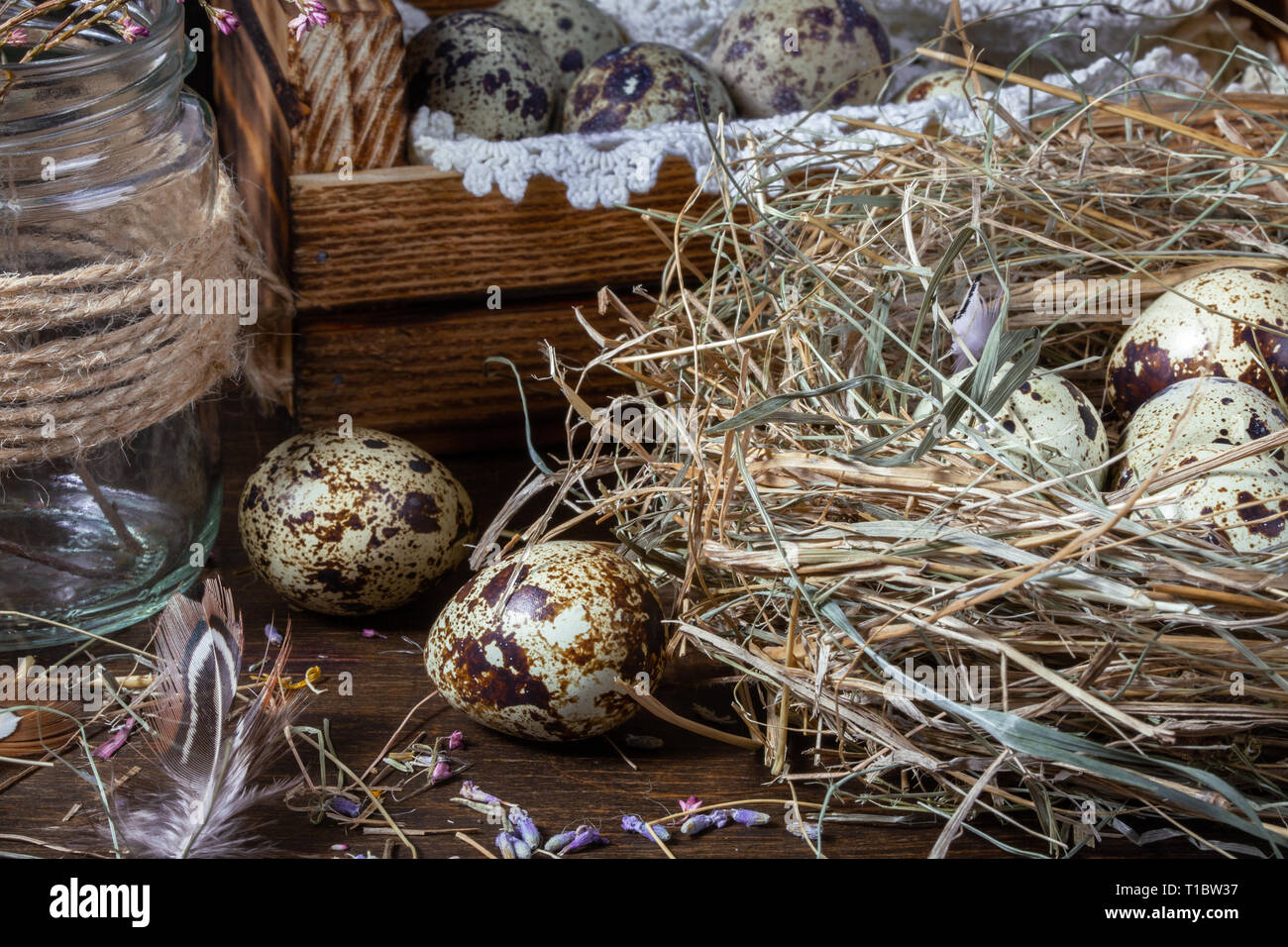 La vie encore mignon avec des oeufs de cailles. Des oeufs de cailles dans le nid et sur la vieille table en bois dans la grange entre objets vintages et de fleurs séchées. Encore Pâques li Banque D'Images