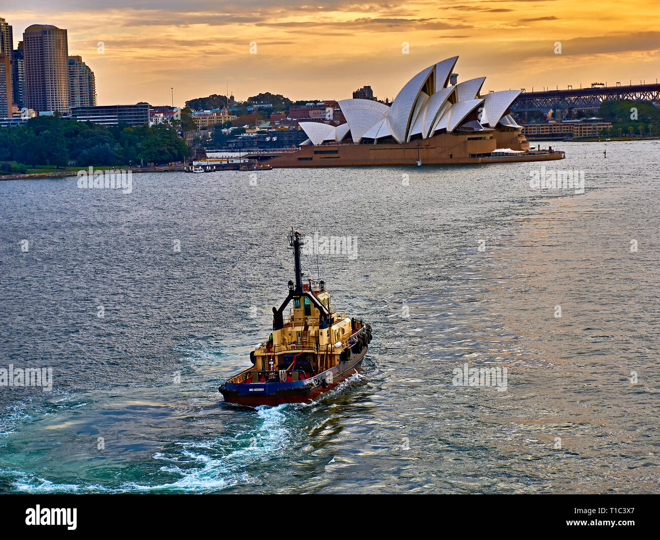 Remorqueur "Gloucester" dans le port de Sydney - retour après avoir appuyé sur le Sun Princess sortir du port Banque D'Images