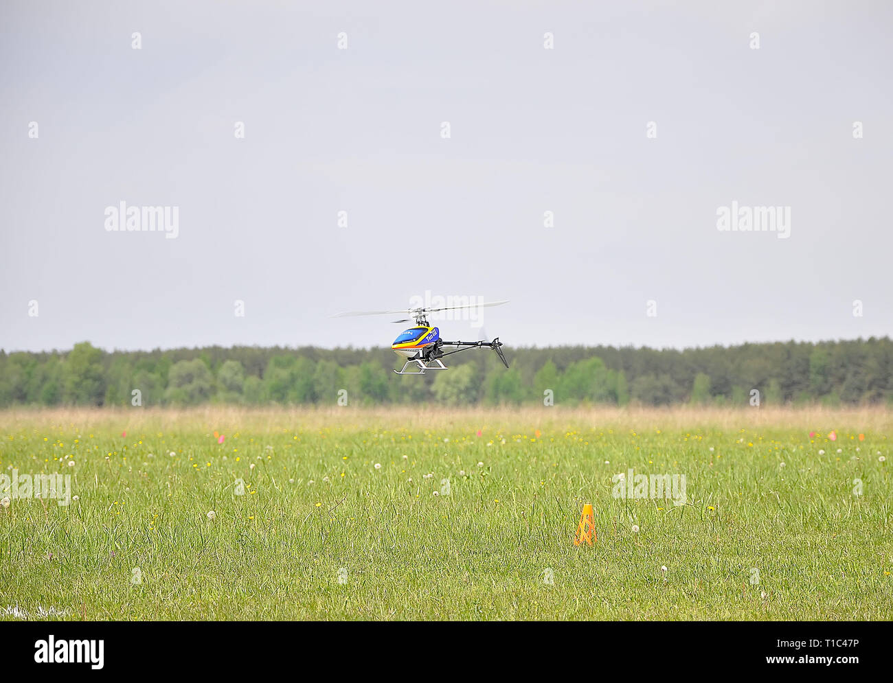 11 mai 2011 - la fête de l'aéromodélisme à l'aéroport de la ville de Kiev, région de Kiev. L'Ukraine Banque D'Images