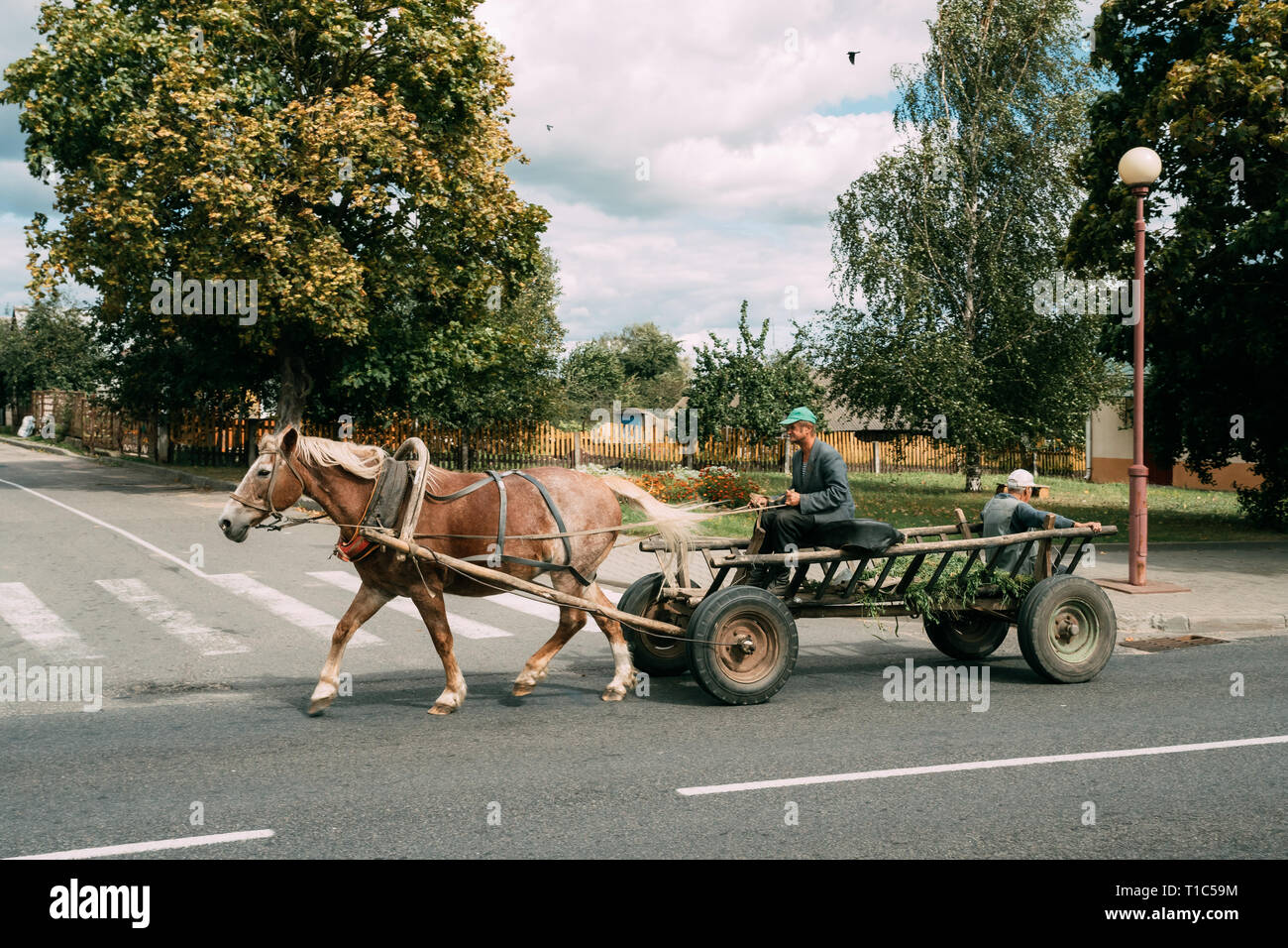 Mir, le Bélarus. Les hommes Ride en transport sur AKrasnoarmeyskaya Sur La Rue De La Tour d'arrière-plan complexe du château de Mir. Banque D'Images