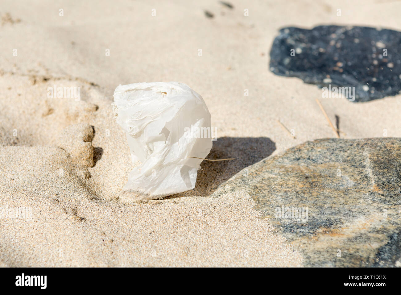 La pollution en plastique à l'océan Atlantique, l'île de Lewis, îles Hébrides, Ecosse, Royaume-Uni Banque D'Images