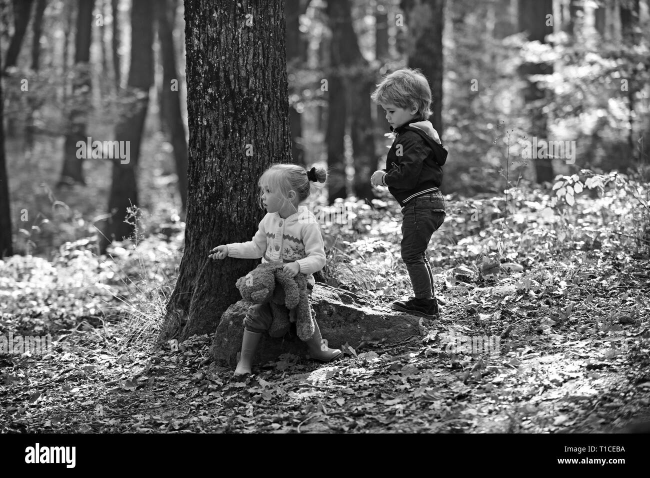 Les enfants jouent dans la forêt d'automne. Little Boy and girl friends camping dans les bois. Frère et sœur s'amuser sur l'air frais. L'enfance et l'amitié de l'enfant Banque D'Images