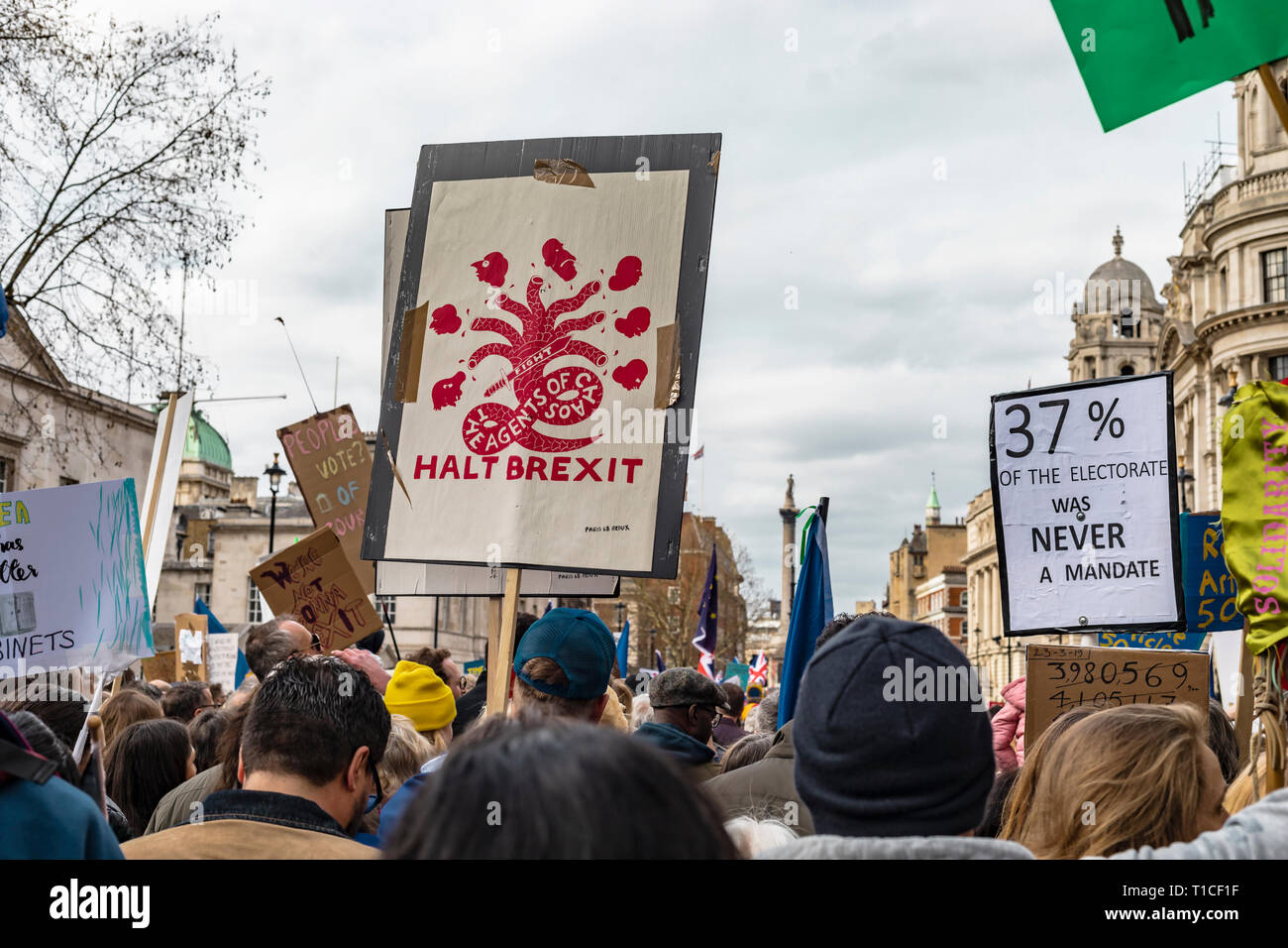 Londres, Royaume-Uni - 23 mars 2019 : un million de personnes se sont réunies à Westminster pour protester avec des bannières contre Brexit. Banque D'Images