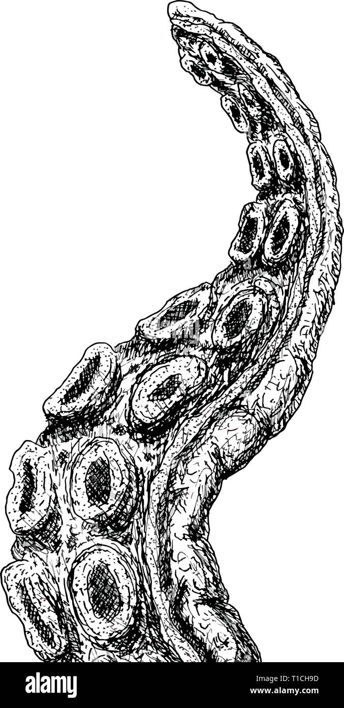 La main d'encre de stylo Dessin des tentacules de pieuvre Monster Illustration de Vecteur