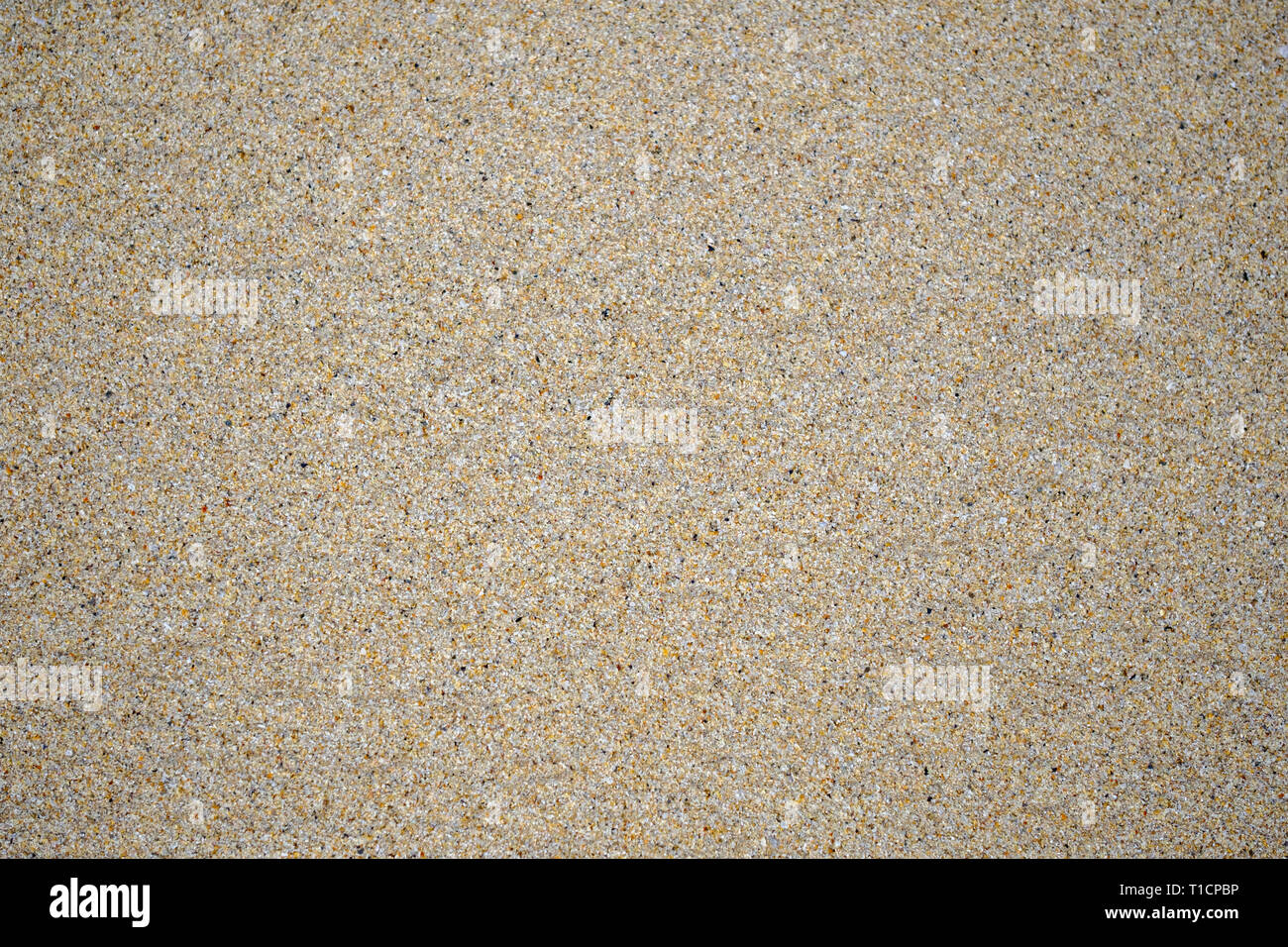 Seamless texture de sable fin. Vue d'en haut. Banque D'Images