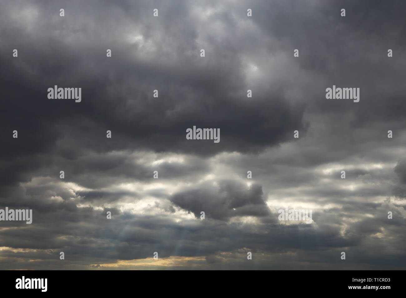 Ciel tempête recouverte de nuages cumulus sombre avant la pluie. Printemps ciel nuageux, ciel couvert, belle journée d'arrière-plan spectaculaire pour un temps orageux Banque D'Images