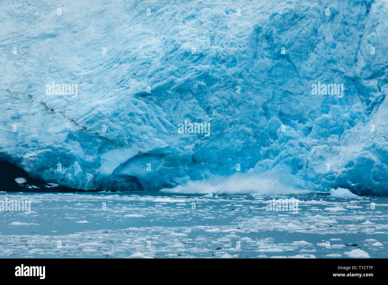 Gros plan du vêlage d'icebergs turquoise brillant avec des poissons et des morceaux de glace flottant dans l'eau à proximité Banque D'Images