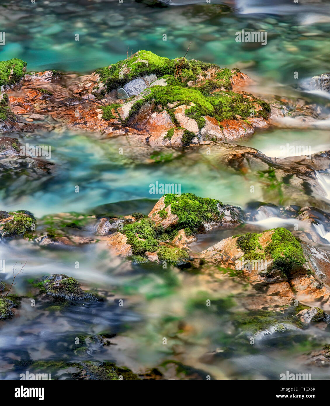 Peu au nord de la rivière avec des rochers colorés Santiam et piscines. Opal Creek Scenic Zone de loisirs, Oregon Banque D'Images