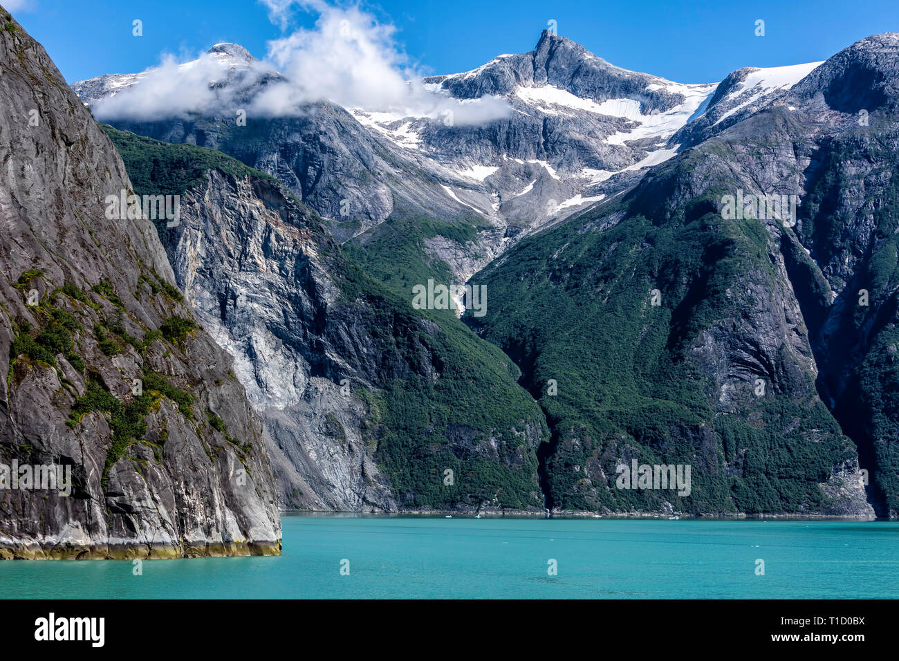 Fjord Tracy Arm, Alaska Banque D'Images