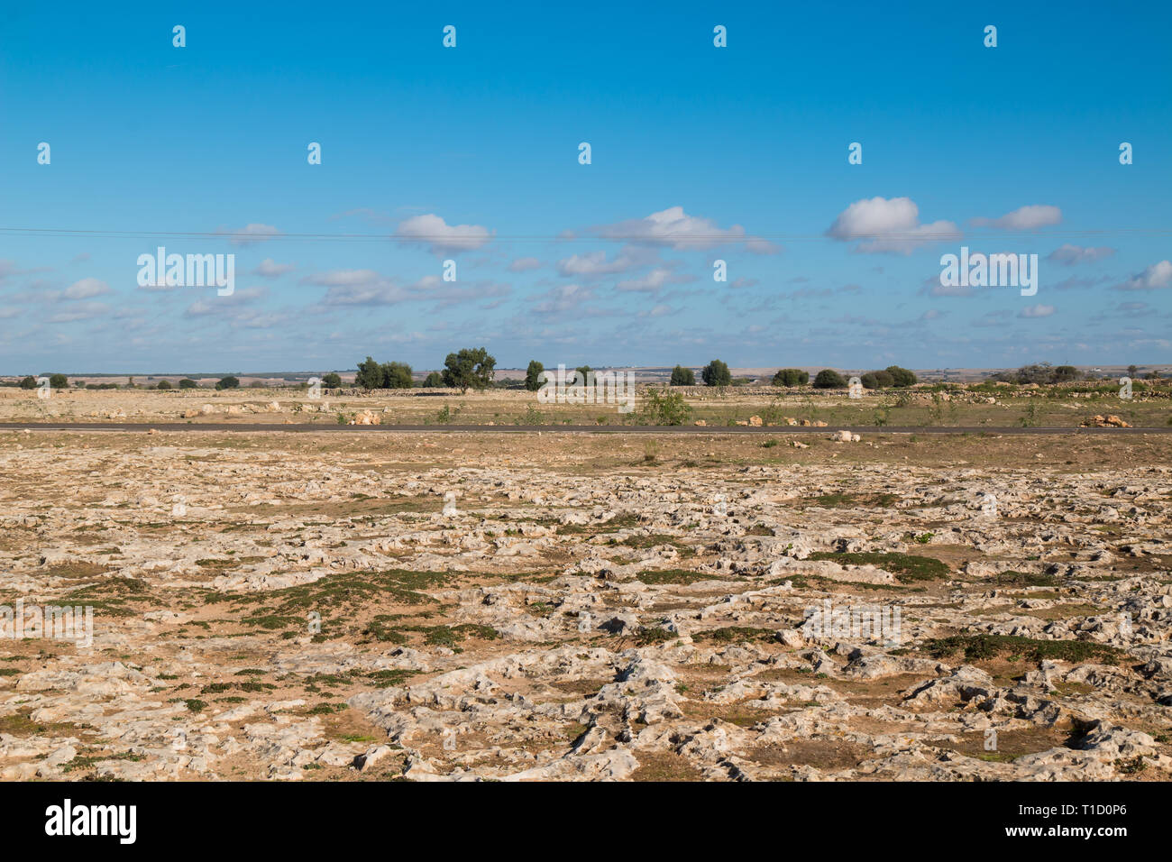 Ligne d'un territoire avec de nombreuses roches. Route vide. Des arbres sur l'horizon, sur les champs. Ciel bleu avec des nuages blancs. Au nord de Safi, Maroc. Banque D'Images