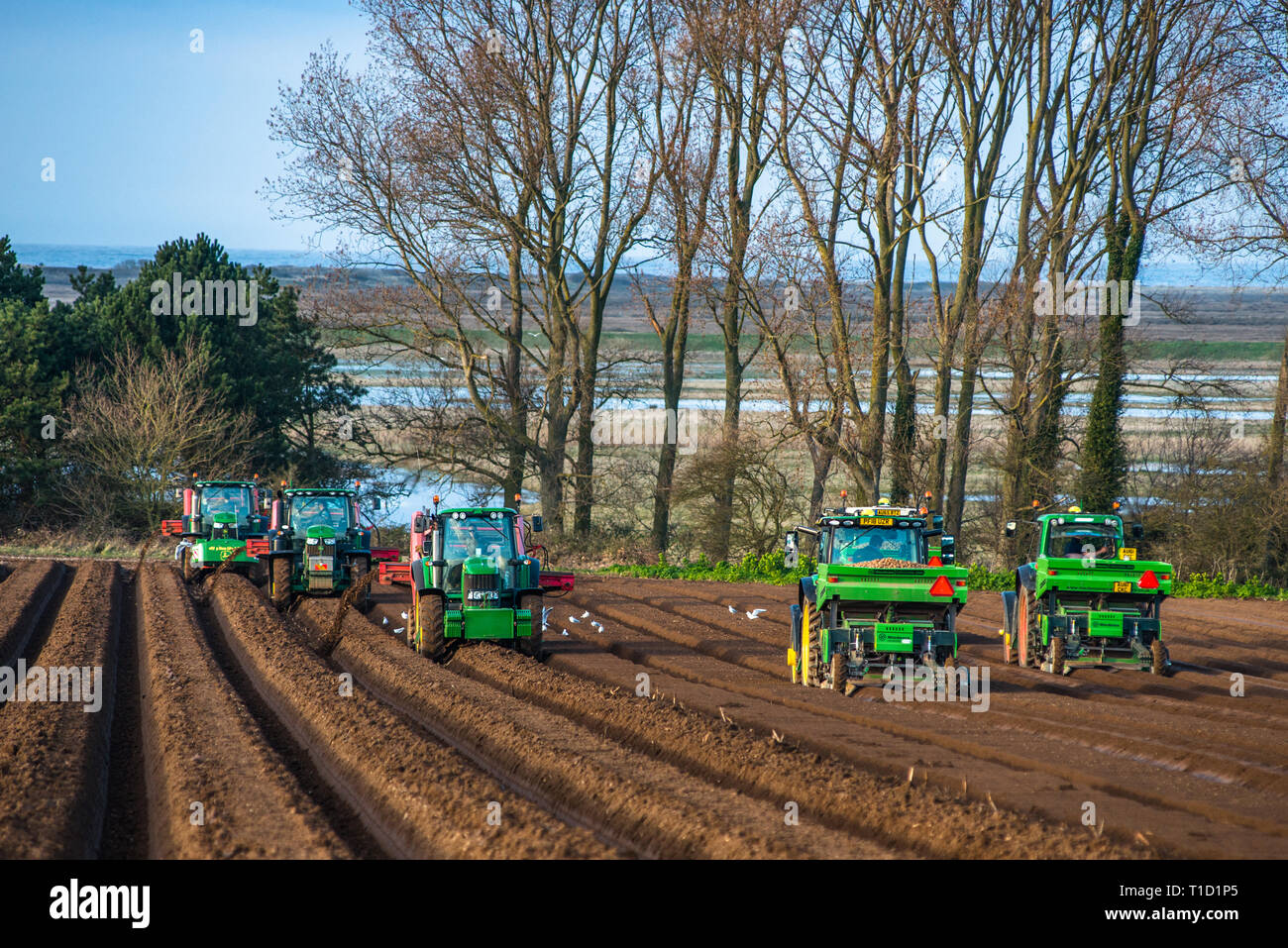 L'exercice de tracteurs en forme de lit de suivi par l'ensemencement des champs au début de l'heure à ressorts Burnham Overy dans North Norfolk, East Anglia, Angleterre, RU Banque D'Images