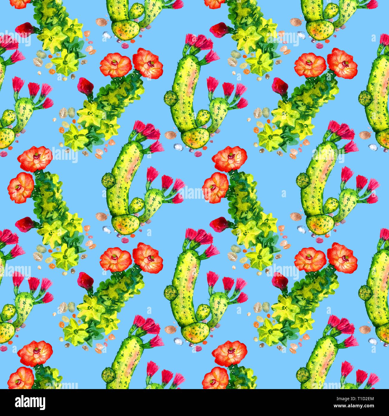 Cactus avec des fleurs roses et rouges, direct pattern design, illustration aquarelle peinte à la main, fond bleu lumineux Banque D'Images