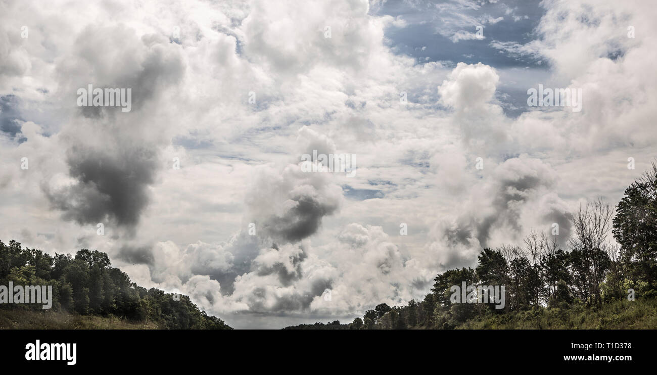 Vue panoramique spectaculaire de nuages sur la ligne d'arbres Banque D'Images