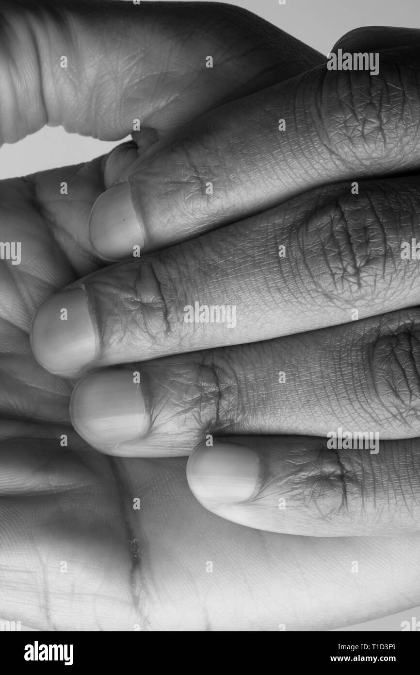 Portrait of Young Adult Man's Hands Banque D'Images